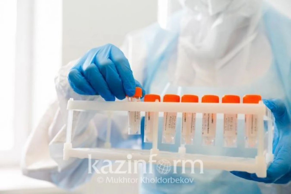 inform.kz.