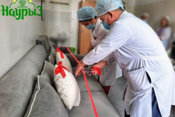 Фотография к новости: Торжество по случаю нового дивана устроили в роддоме Кызылорды