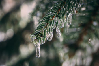 Фотография к новости: Осадки пройдут по Казахстану 20 марта