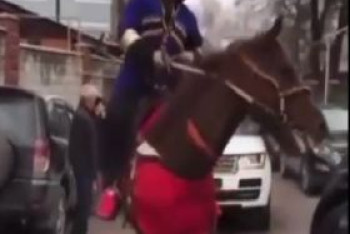 Фотография к новости: Всадник устроил стрельбу на свадьбе в Алматинской области