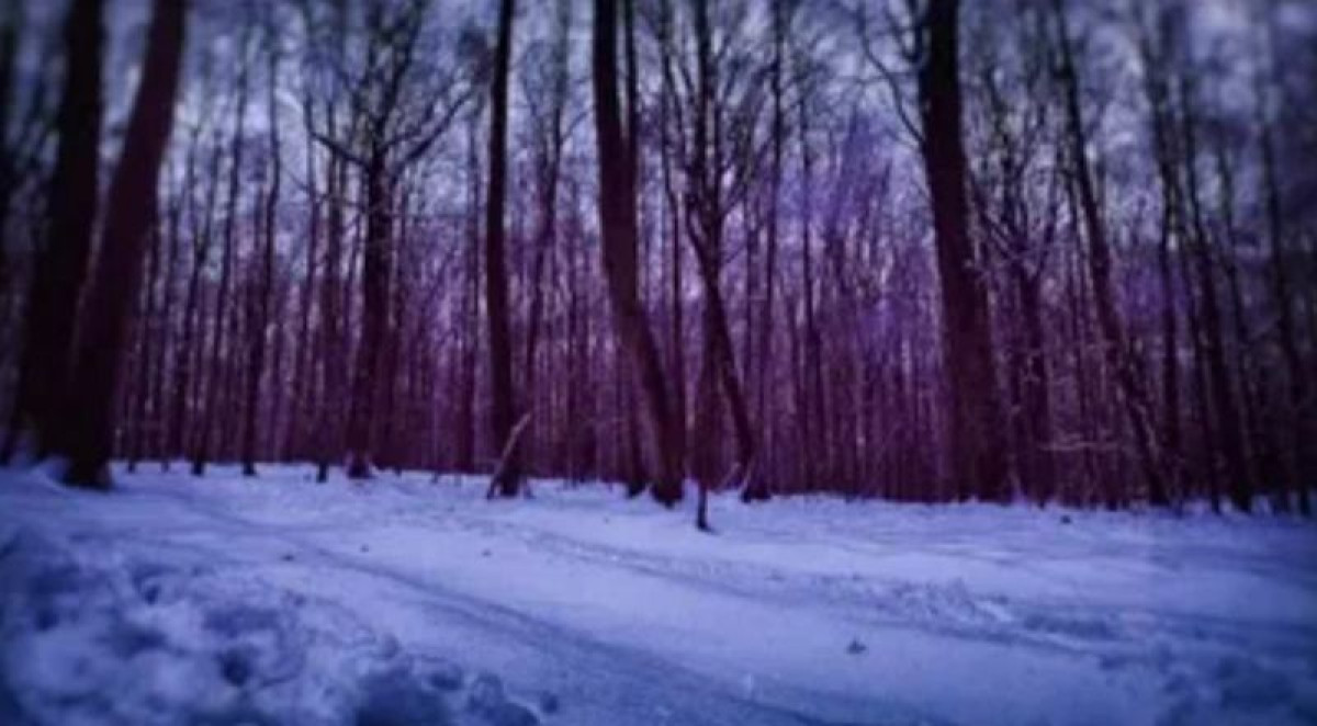 иллюстративное