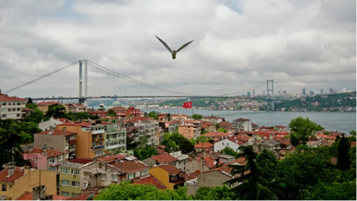 © РИА Новости / Антон Денисов