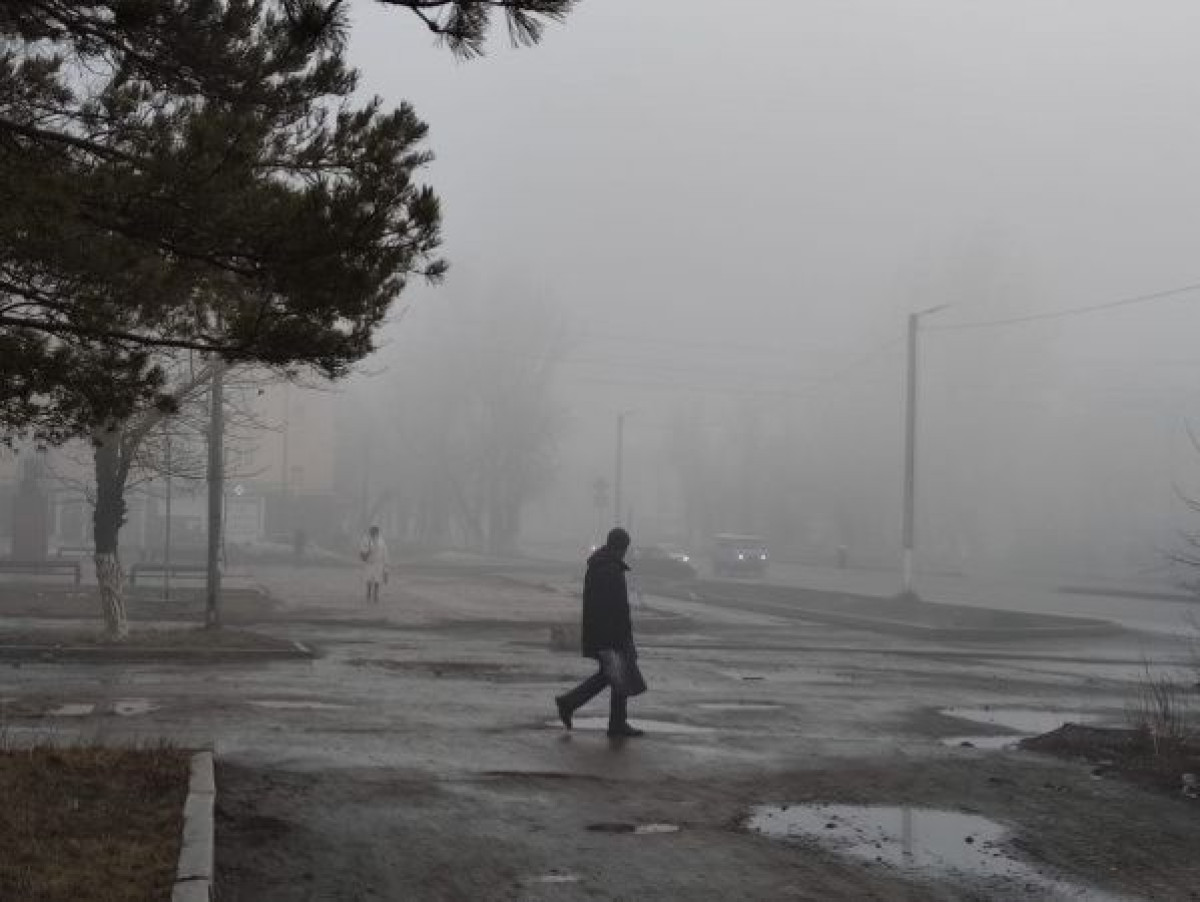 Анастасия Пучкова