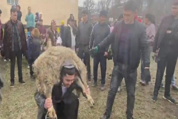 Фотография к новости: Аким 50 раз поднял 40-килограммового барана в Алматинской области