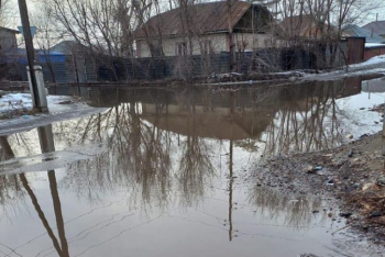 Фотография к новости: Житель Усть-Каменогорска подал заявление в полицию на акима города из-за плохих дорог