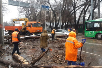 Фотография к новости: Ветер повалил больше 20 деревьев на автомобили в Алматы
