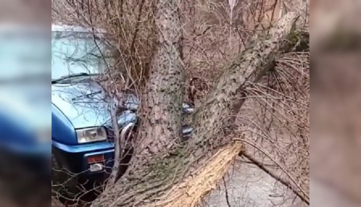 скриншот с видео