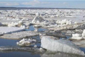 Фотография к новости: Паводки в Казахстане: подтоплены жилые дома, соцобъекты и дороги