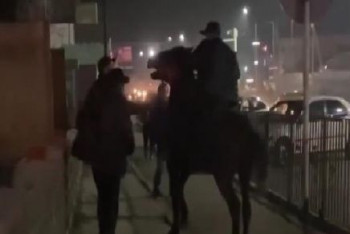 Фотография к новости: Пьяный мужчина на коне бил кнутом прохожих в Талгаре