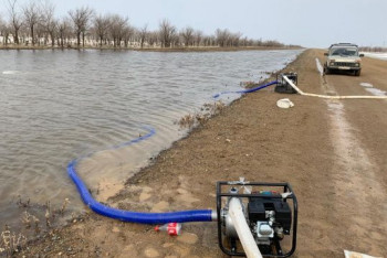 Фотография к новости: Паводки привели к падежу скота в Западном Казахстане