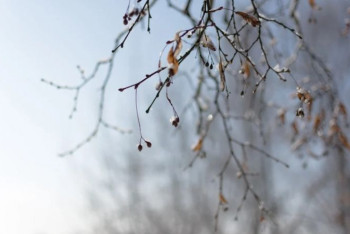 Фотография к новости: Штормовое предупреждение объявили в девяти областях Казахстана
