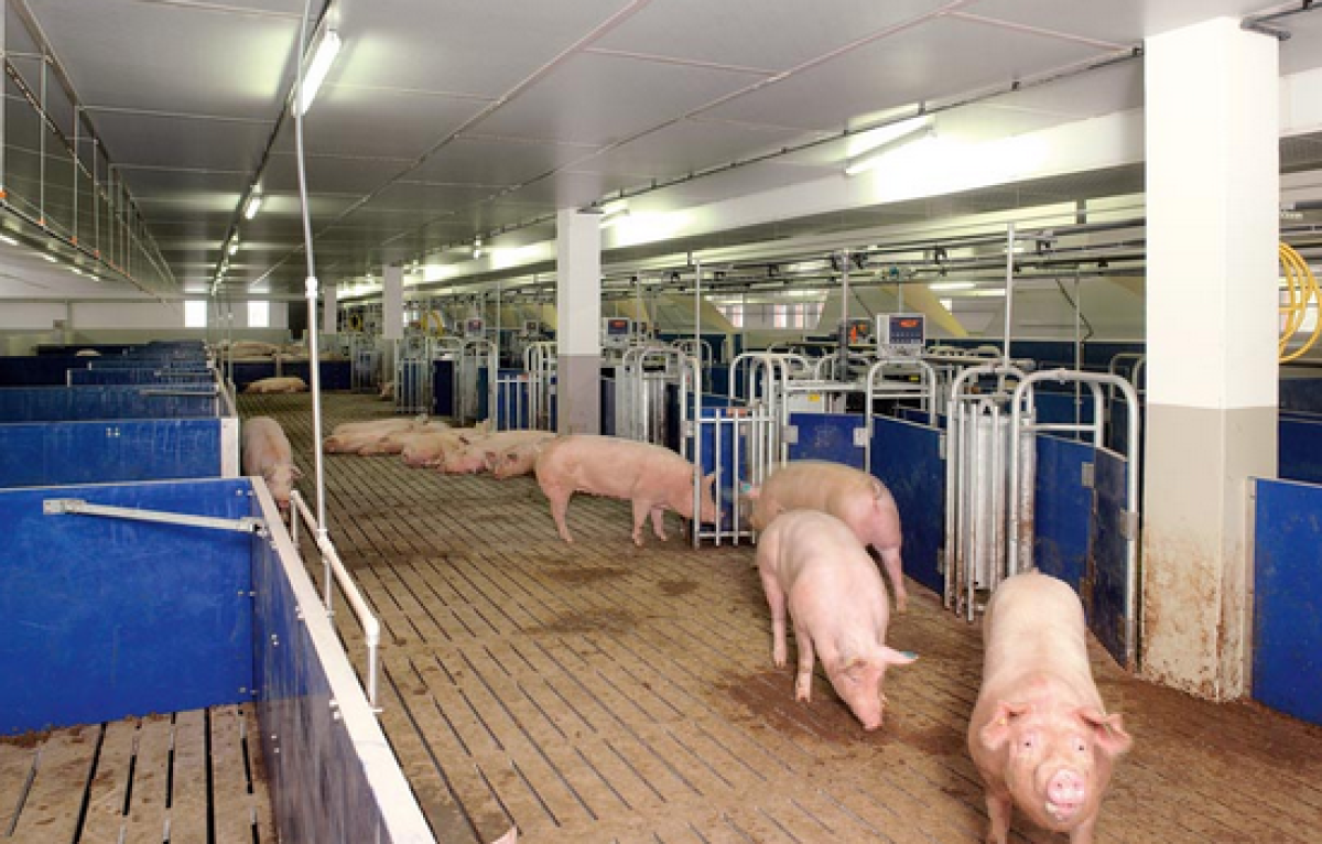 открытые источники