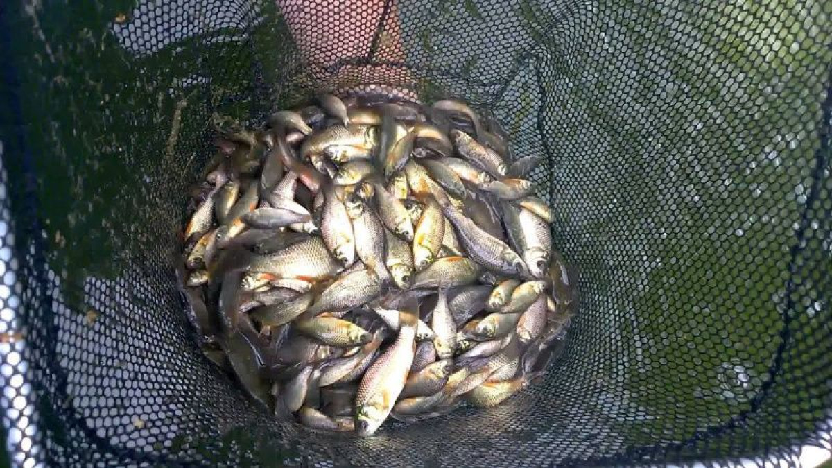 Иллюстративное фото