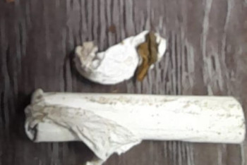 Фотография к новости: Свёрток с гашишем нашли у туркестанца на таможенном контроле