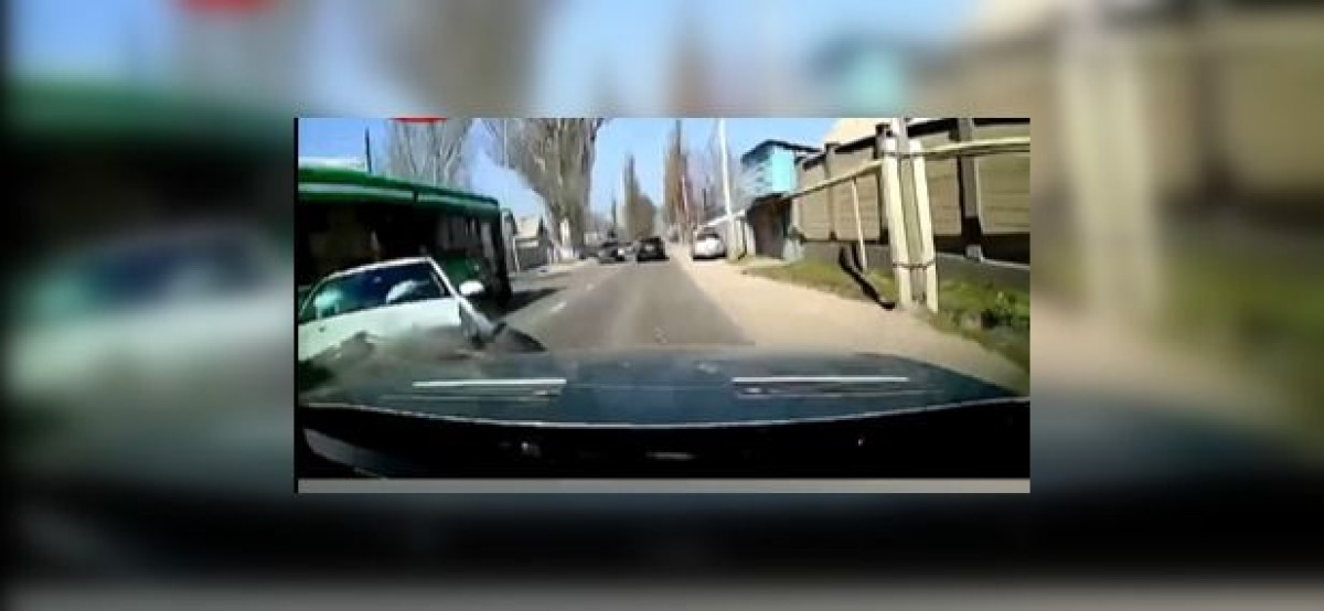 скриншот видео