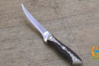 Фотография к новости: Полисмены обезвредили вооруженного ножом алматинца