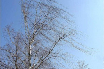 Фотография к новости: Погода ухудшится в Нур-Султане и девяти областях Казахстана