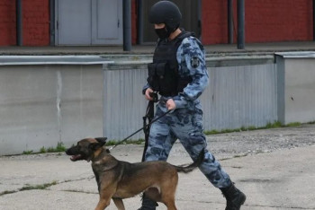 Фотография к новости: В одном из регионов России вводят жёлтый уровень террористической опасности