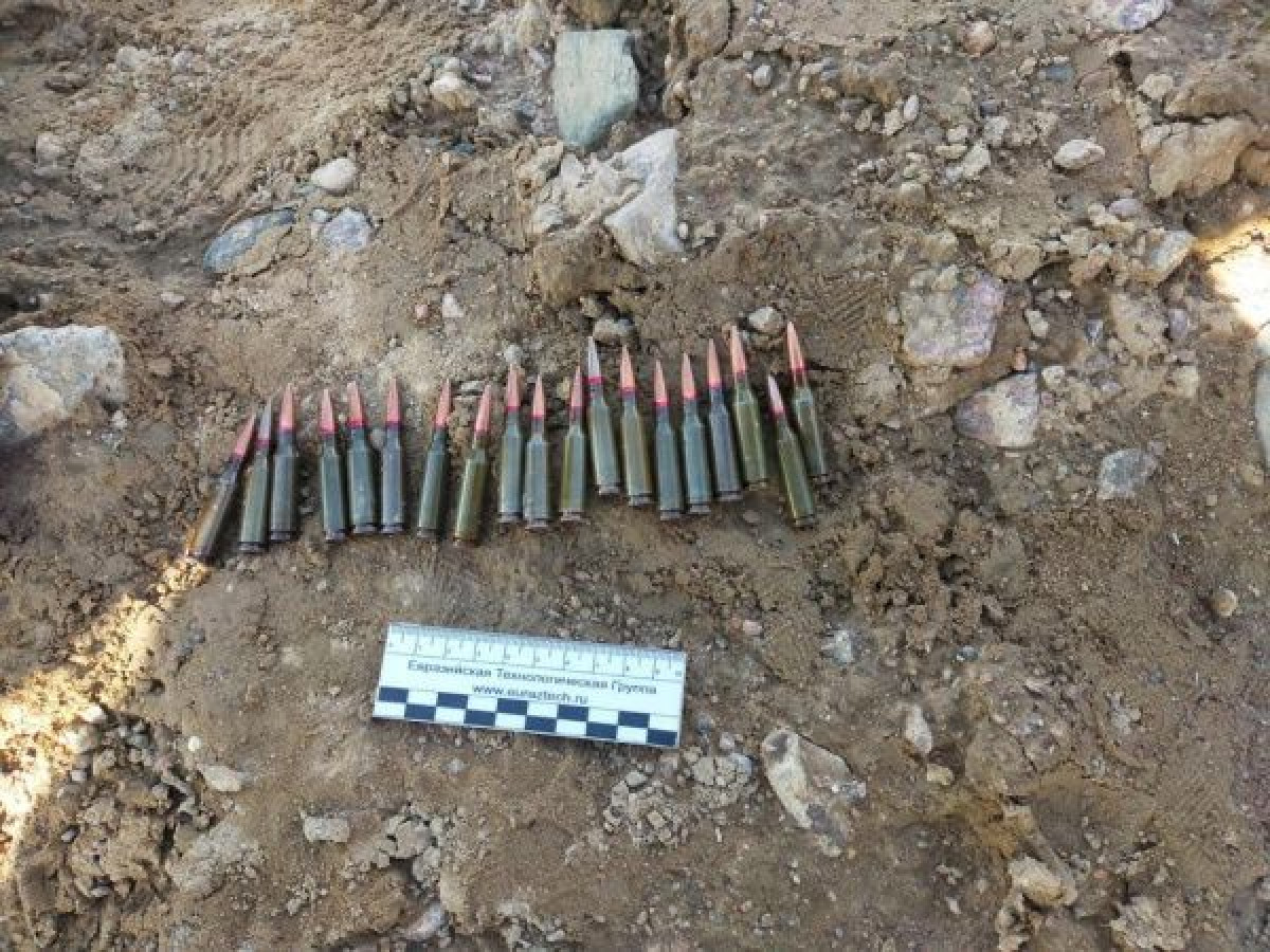 Арсенал похищенного в январских беспорядках оружия обнаружили жамбылские полицейские