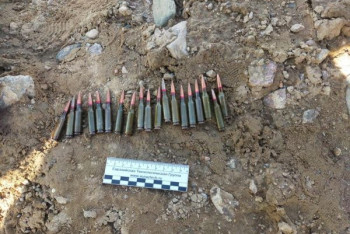 Фотография к новости: Арсенал похищенного в январских беспорядках оружия обнаружили жамбылские полицейские