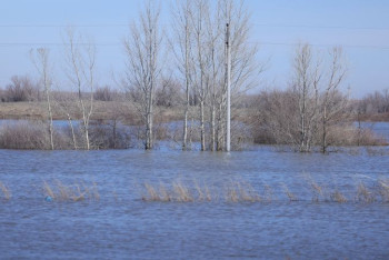 Фотография к новости: Смыло дорогу и мост. Как село в Актюбинской области отрезало от мира
