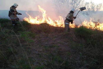 Фотография к новости: "Выезжаем тушить загоревшуюся траву до 20 раз в сутки" — спасатели ВКО обратились к туристам
