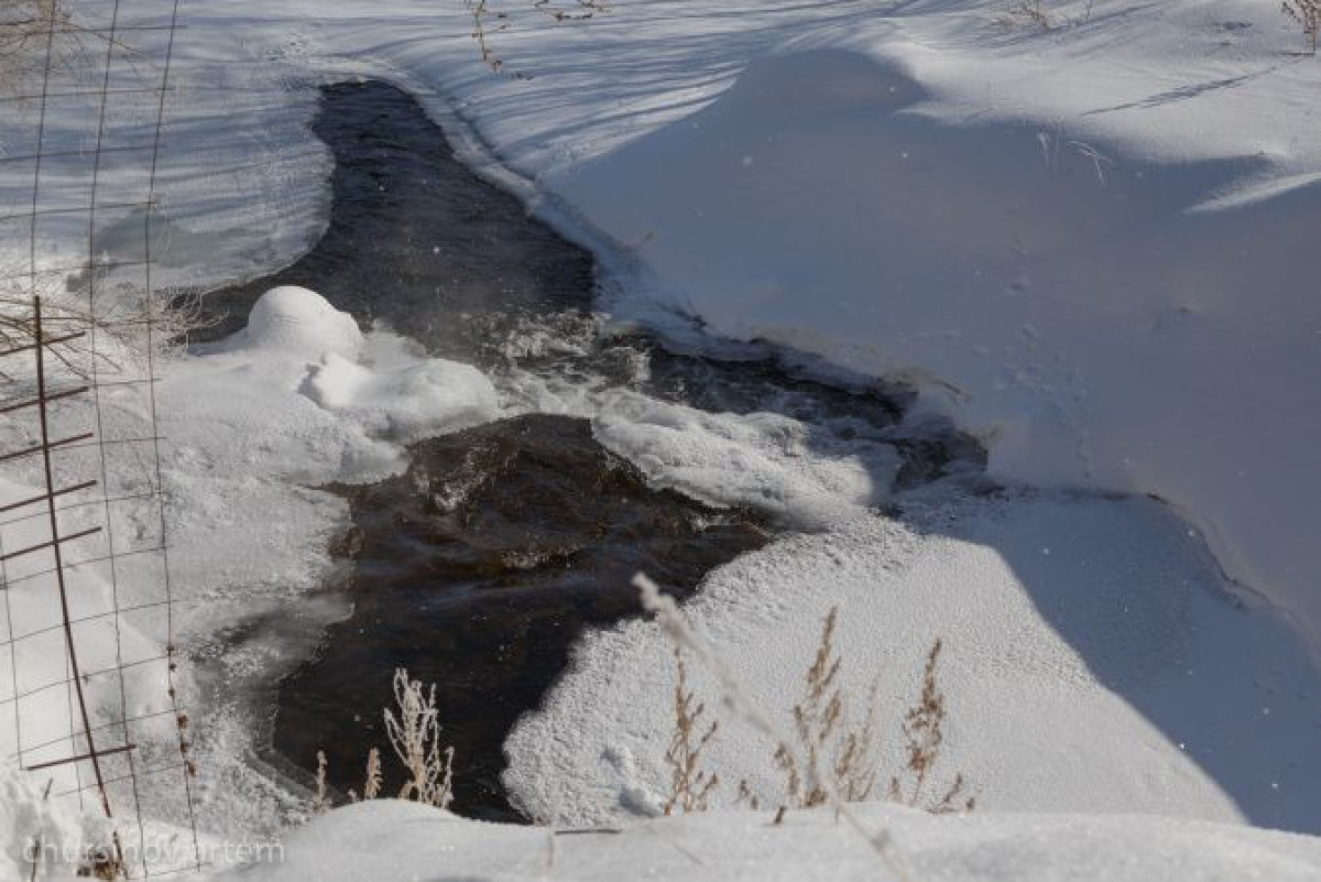 Артём Чурсинов