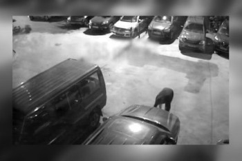 Фотография к новости: Мужчина требовал выкуп за украденные им госномера в Алматы