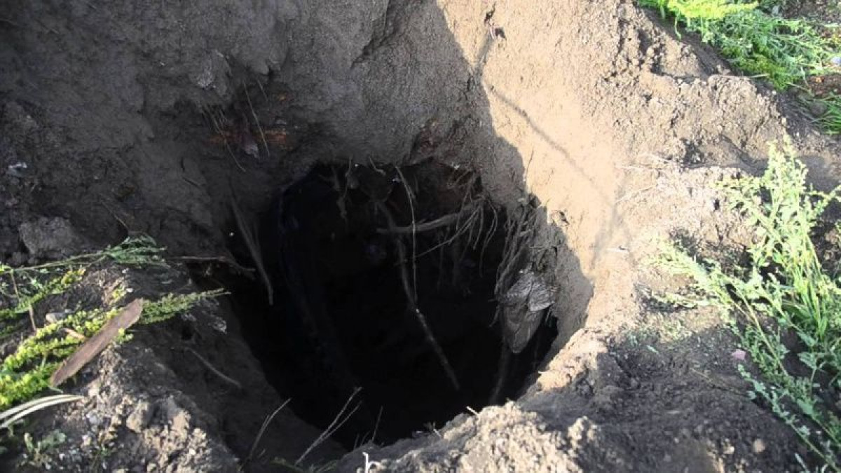 иллюстративное