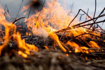 Инвалид чуть не погиб из-за загоревшейся травы в Семее