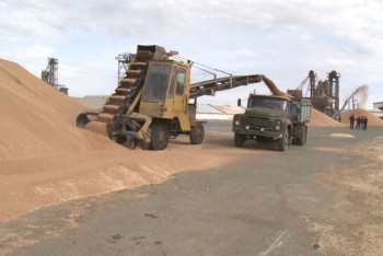 Фотография к новости: Нехватка зерна или игра мукомолов на рынке? Что происходит в аграрном секторе