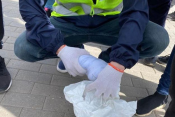 Фотография к новости: Подозрительный пакет обнаружили волонтёры на субботнике в Нур-Султане