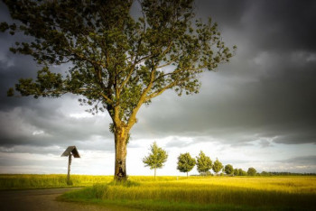 Фотография к новости: Штормовое предупреждение объявлено в Нур-Султане и шести областях Казахстана