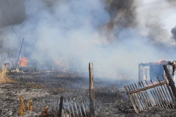 Фотография к новости: 150 раз за выходные выезжали тушить загоревшуюся траву огнеборцы ВКО