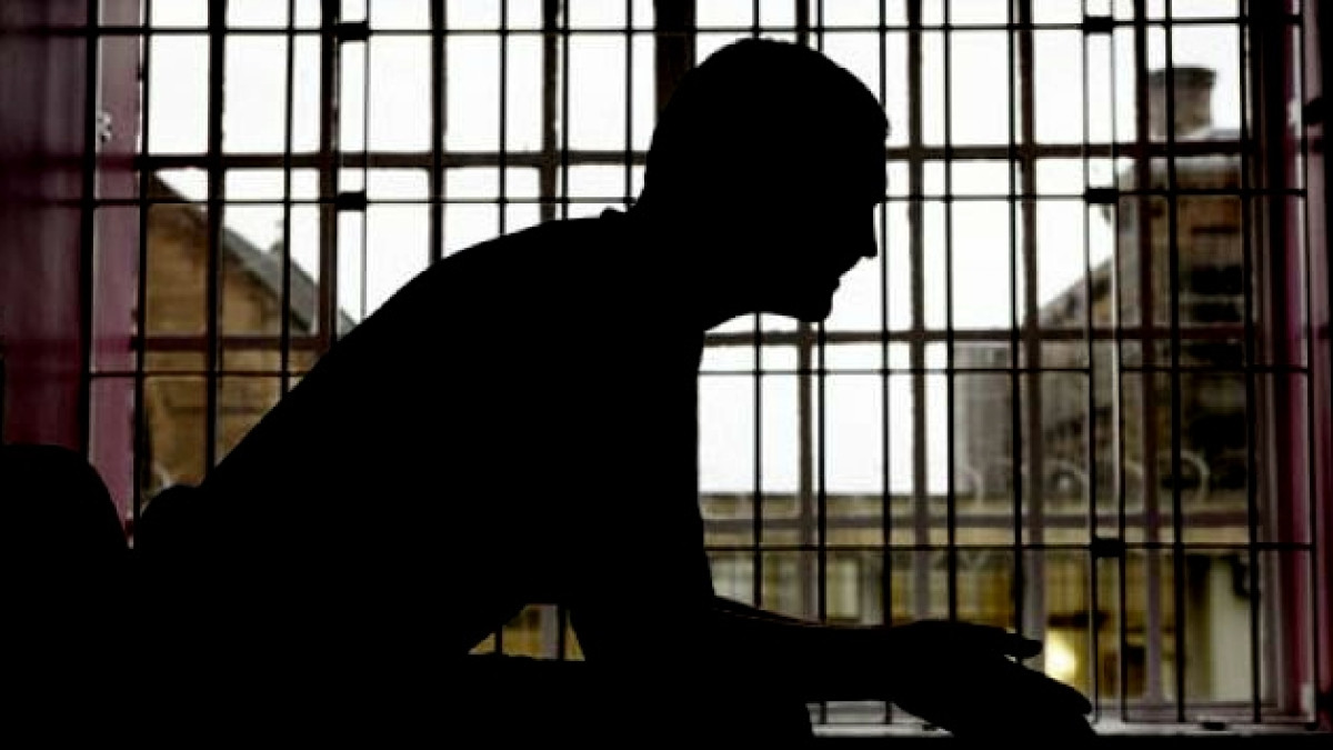 из открытых источников