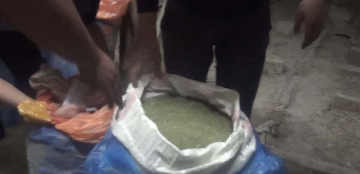 161 килограмм марихуаны изъяли у жителя Шу