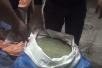 Фотография к новости: 161 килограмм марихуаны изъяли у жителя Шу