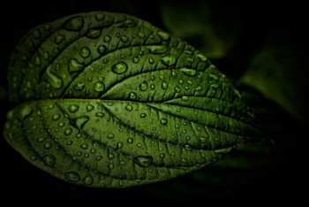 Фотография к новости: Погода ухудшится в восьми регионах Казахстана