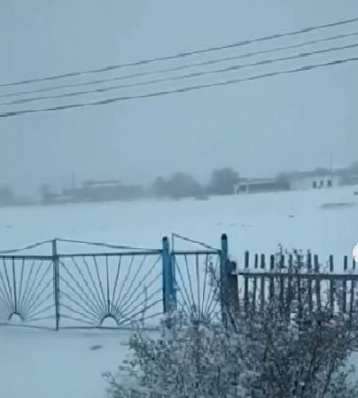 скриншот с видео