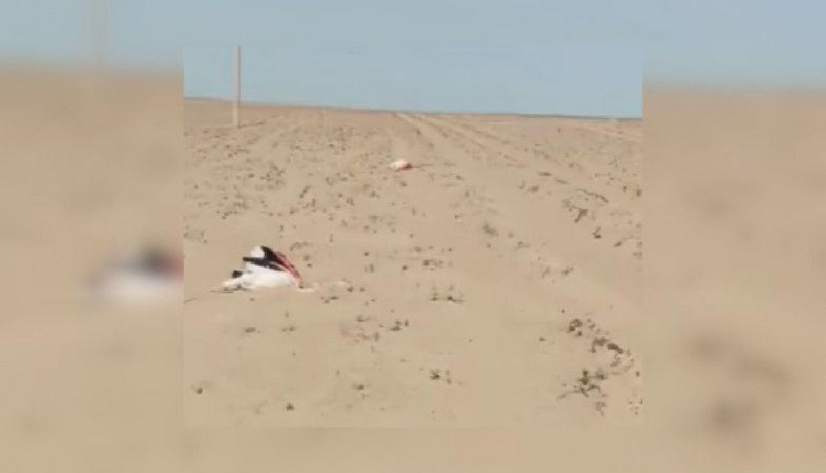 скриншот видео