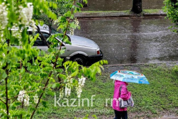 Фотография к новости: Сильные дожди затопили более 50 участков в Алматы