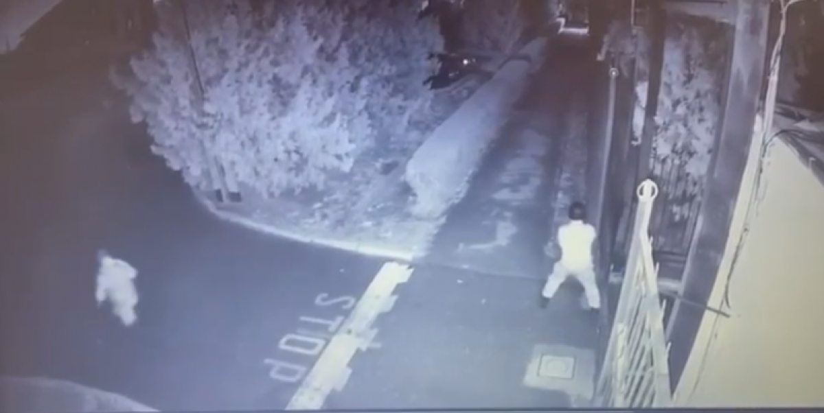 В КНБ прокомментировали видео с перестрелкой в Таразе