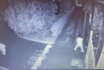 Фотография к новости: В КНБ прокомментировали видео с перестрелкой в Таразе