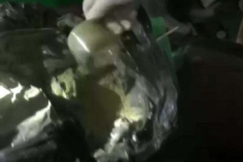 Фотография к новости: Гашиш на 30 миллионов тенге изъяли из гаража в Нур-Султане