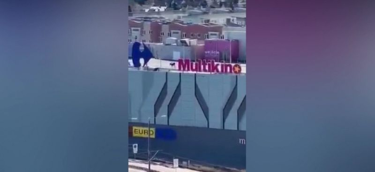 скриншот видео