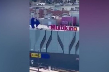 Фотография к новости: Лось забрался на крышу ТРЦ в Польше