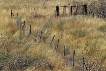 Фотография к новости: Все неиспользуемые сельхозземли вернут государству - Минсельхоз