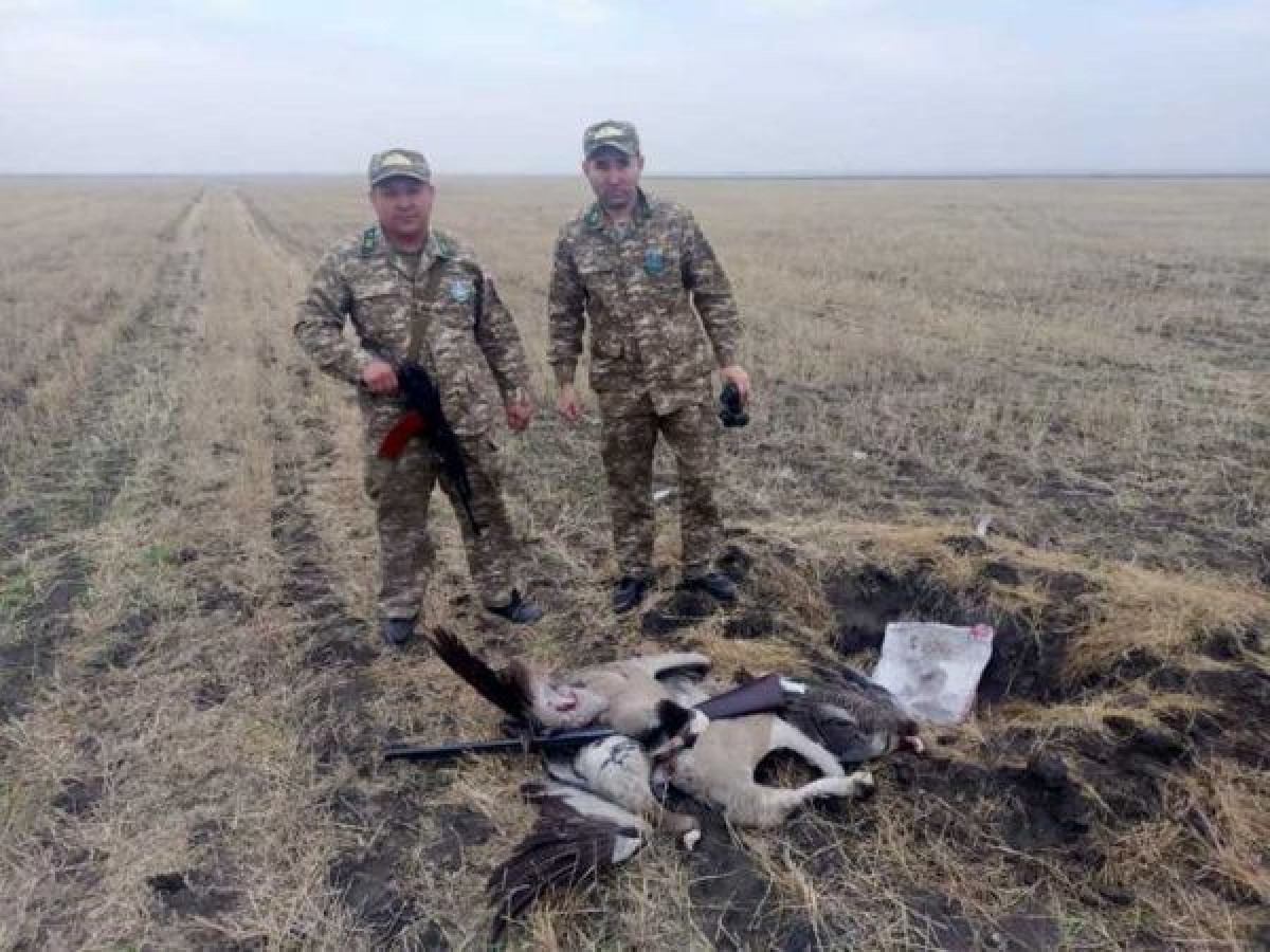 Костанайская областная территориальная инспекция лесного хозяйства и животного мира