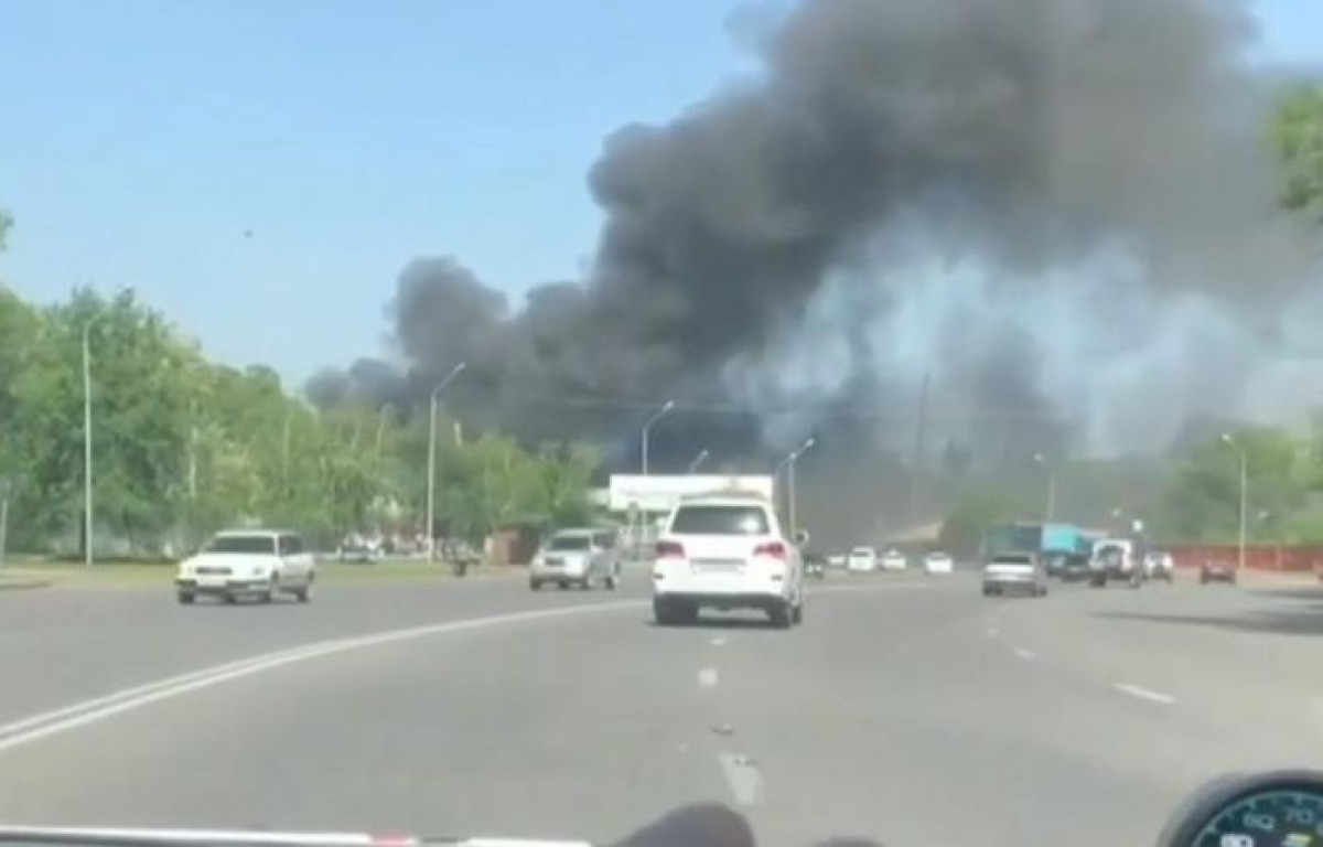 кадр из видео