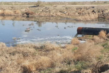 Фотография к новости: Зловонное озеро с нечистотами превратило в кошмар жизнь жителей окраины Кызылорды